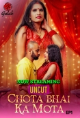 Chota Bhai Ka Mota (2024) Gulab S01E01 Web Series Download