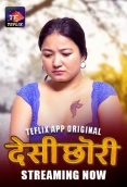 Desi Chori 2025 TeFlix S01E01T02 Web Series Download
