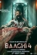 Baaghi 4 (2025) Hindi HDTS Movie